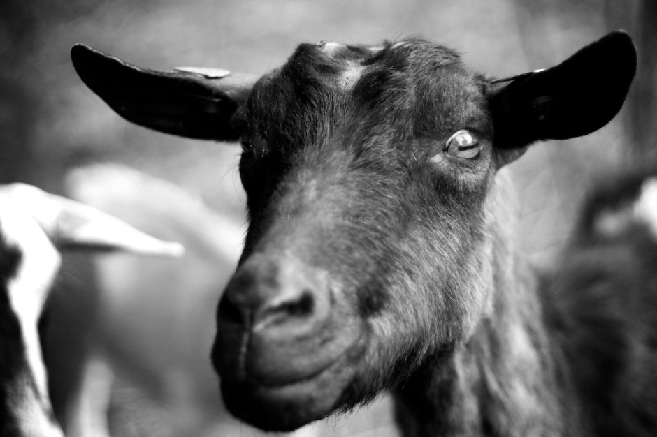 2015-08-09-um-11-14-09